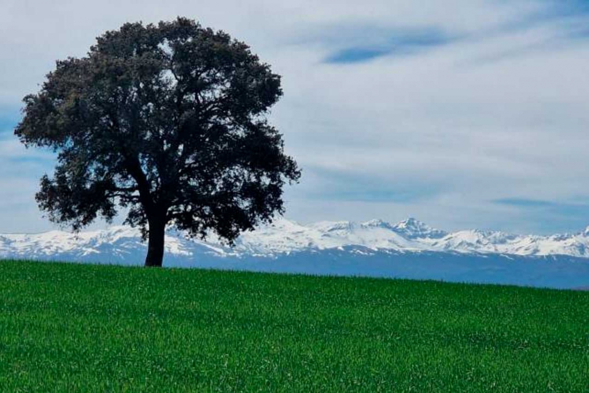 fotografía de Agustín Olmo