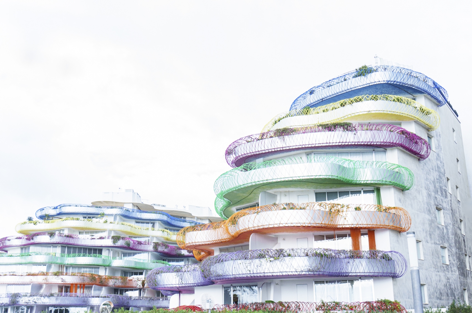 Hogares con color