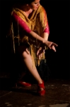 Danza flamenca