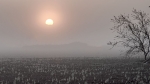 Niebla en la Vega de Granada