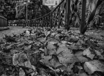 OTOÑO