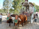 La Raya Real