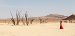 La Dama del Desierto