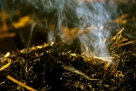 Arde la maleza