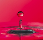 Gota
