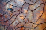 NEURONAS DE BARRO