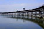 Muelle del tinto