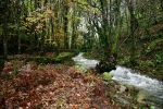 OTOÑO EN GALICIA