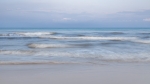 Aparente quietud
