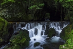 Fuente del Francés