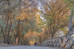 Colores de Otoño