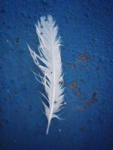 Afortunada