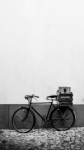 La bicicleta de reparto