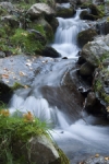 Arroyo
