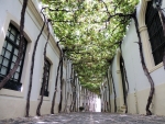 calle las parras