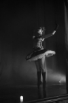 CISNE NEGRO