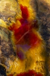 Colores del Tinto