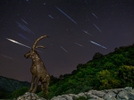 Contemplando la lluvia de Estrellas (Cuadrantidas)