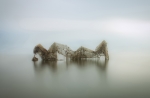 Delta del Ebro - Redes