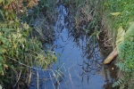 reflejos
