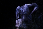 CLAROSCURO 7