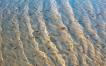 Ondas