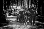 ROMERIA DE SAN JUAN