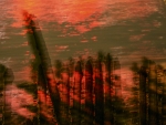 Embarcadero rojo