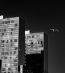 Entre edificios