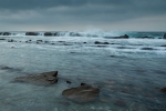 Marejada