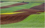 Campos de Castilla