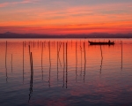 Rojo Albufera