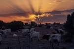 Amanecer