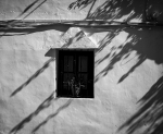 Semisombra en calma