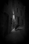 Noche solitaria