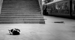 Indiferencia