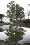 La Benarosa