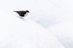 Invierno