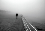 Entre la niebla