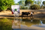 Reflejos de antaño