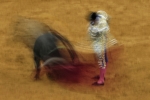 Movimiento y Plasticidad