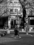 Paseando estilo