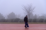 Paseo en la niebla