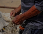 PREPARANDO LA RED