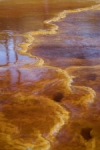 fractales naturales