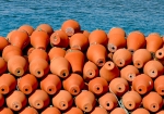 Pulperas al sol