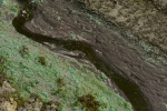 Verde y gris abstracción