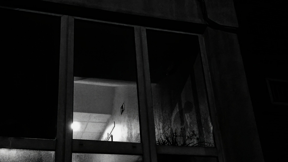Encuentro con Nosferatu