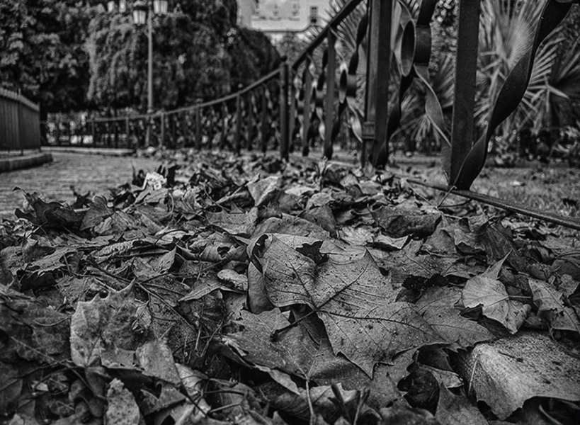 OTOÑO