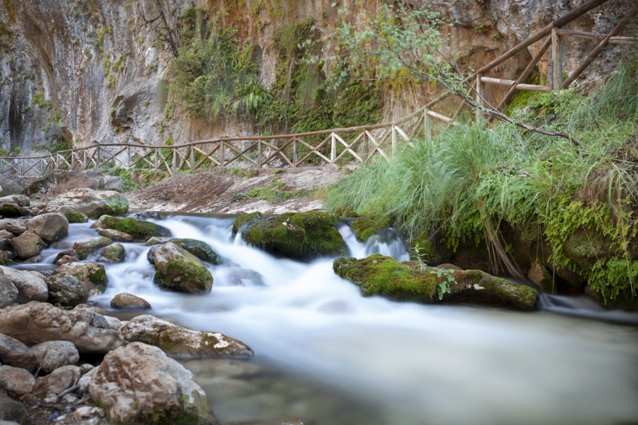 Rio Borosa